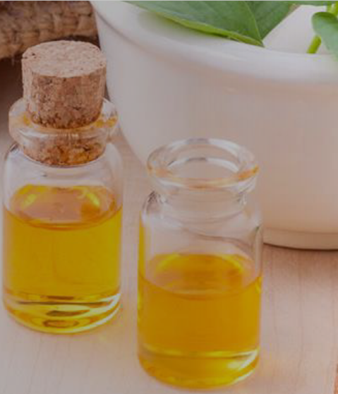 VIRTUAL WORKSHOP FOR BSOS ON SUPPORTING THEIR MEMBERS FROM THE NATURAL INGREDIENTS SECTOR TO INCREASE EXPORTS TO THE EUROPEAN MARKET