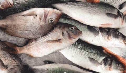 Poisson et fruits de mer à valeur ajoutée